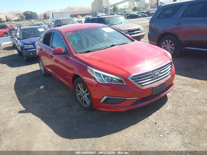 2017 Hyundai Sonata VIN: 5NPE24AF9HH445264 Lot: 39599587