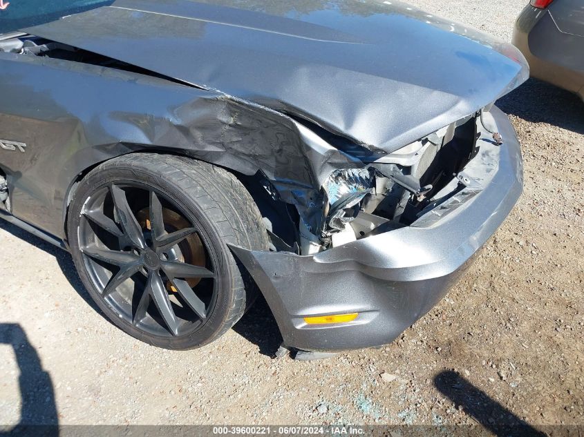 2010 Ford Mustang Gt/Gt Premium VIN: 1VBBP8CH2A5103524 Lot: 39600221