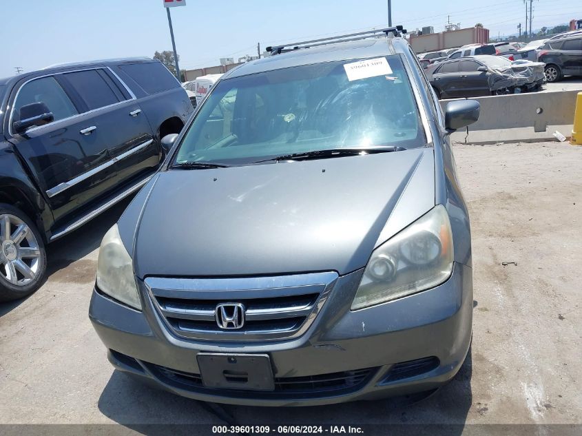 2007 Honda Odyssey Ex-L VIN: 5FNRL386X7B448749 Lot: 39601309