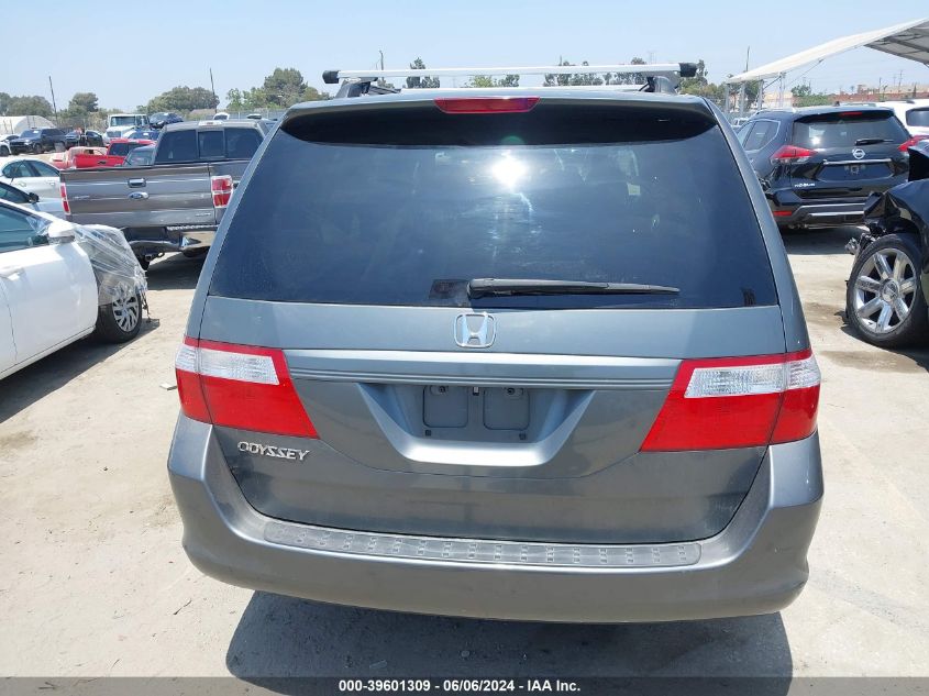 2007 Honda Odyssey Ex-L VIN: 5FNRL386X7B448749 Lot: 39601309