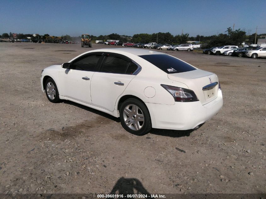 1N4AA5AP9DC800199 | 2013 NISSAN MAXIMA