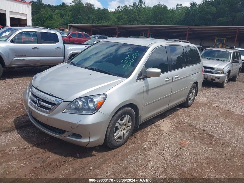 2007 Honda Odyssey Ex VIN: 5FNRL384X7B036281 Lot: 39603170