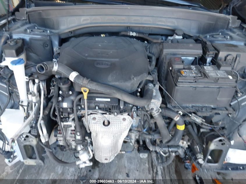 2020 Kia Telluride Lx VIN: 5XYP2DHC6LG079266 Lot: 39603463