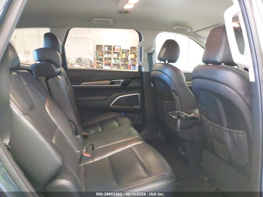 2020 Kia Telluride Lx VIN: 5XYP2DHC6LG079266 Lot: 39603463