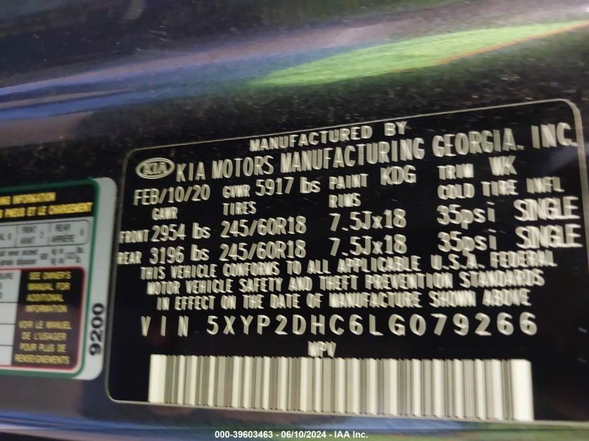 2020 Kia Telluride Lx VIN: 5XYP2DHC6LG079266 Lot: 39603463
