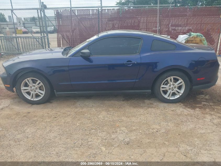 2012 Ford Mustang V6 VIN: 1ZVBP8AM3C5216529 Lot: 39603969