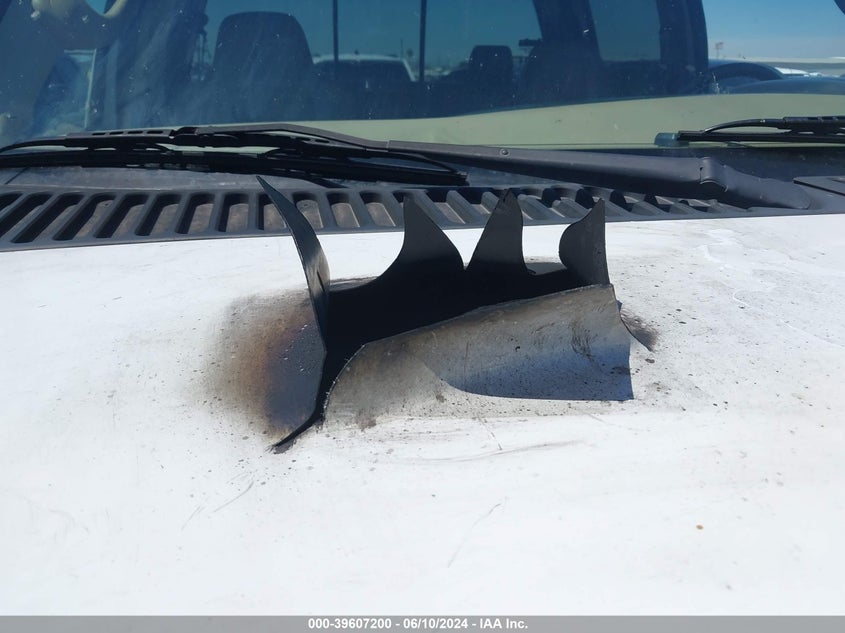 2007 Ford F-250 Lariat/Xl/Xlt VIN: 1FTSW21P57EA10440 Lot: 39607200