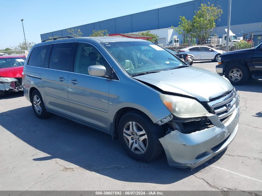 2005 Honda Odyssey Ex-L VIN: 5FNRL38635B031647 Lot: 39607592