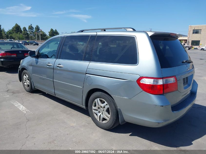 2005 Honda Odyssey Ex-L VIN: 5FNRL38635B031647 Lot: 39607592