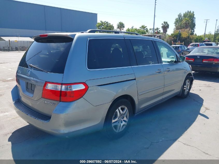 2005 Honda Odyssey Ex-L VIN: 5FNRL38635B031647 Lot: 39607592