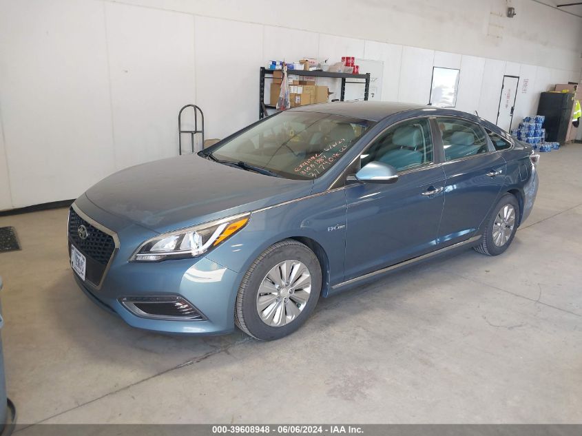 2016 Hyundai Sonata Hybrid Se VIN: KMHE24L15GA036066 Lot: 39608948