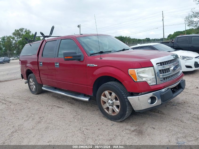 2013 Ford F-150 Xlt VIN: 1FTFW1CF1DFD63862 Lot: 39609232