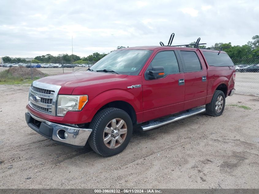 2013 Ford F-150 Xlt VIN: 1FTFW1CF1DFD63862 Lot: 39609232