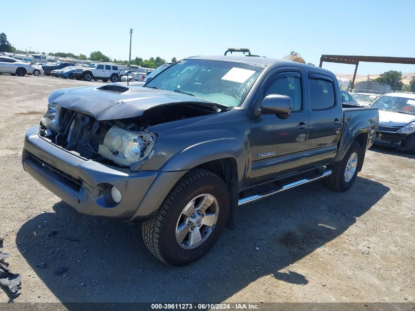 2009 Toyota Tacoma Base V6 VIN: 3TMLU42N89M031752 Lot: 39611273