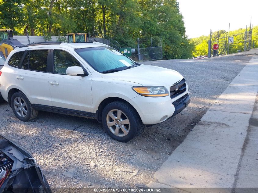 2009 Hyundai Santa Fe Se VIN: 5NMSH73EX9H304631 Lot: 39611679