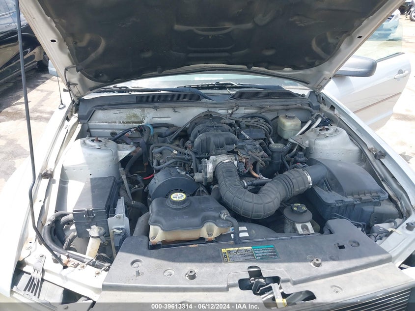 2005 Ford Mustang V6 Deluxe/V6 Premium VIN: 1ZVFT80N455202049 Lot: 39613314