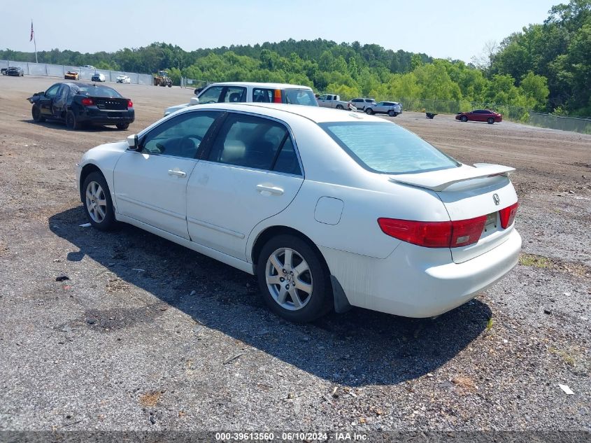 2005 Honda Accord 3.0 Ex VIN: 1HGCM66505A019383 Lot: 39613560