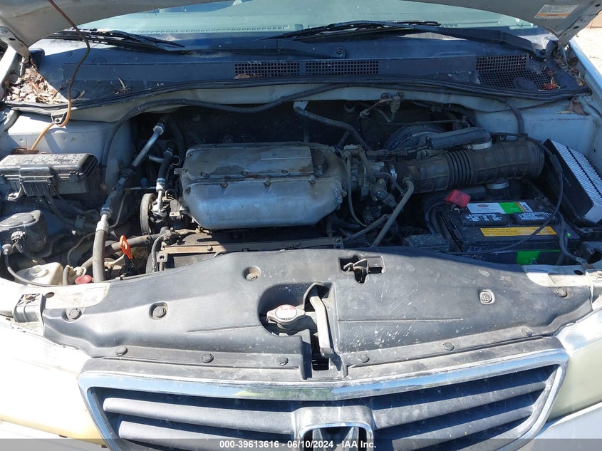 2004 Honda Odyssey Ex-L VIN: 5FNRL18954B058989 Lot: 39613616