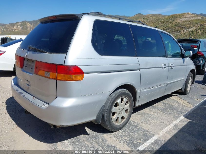 2004 Honda Odyssey Ex-L VIN: 5FNRL18954B058989 Lot: 39613616