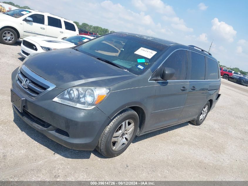 2005 Honda Odyssey Ex-L VIN: 5FNRL38625B048858 Lot: 39614726