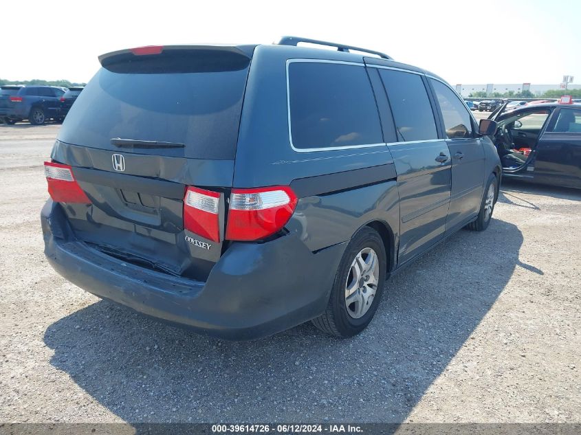 2005 Honda Odyssey Ex-L VIN: 5FNRL38625B048858 Lot: 39614726