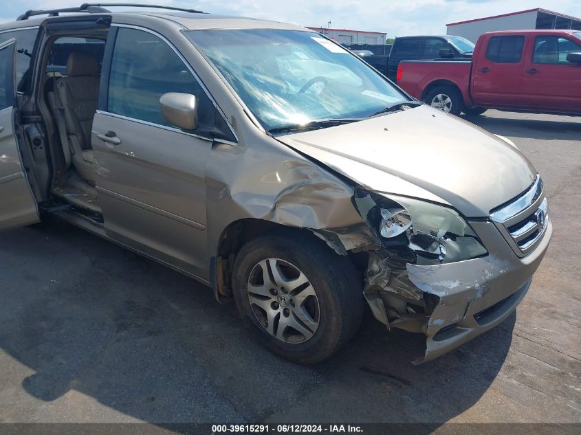 2005 Honda Odyssey Ex-L VIN: 5FNRL38725B027193 Lot: 39615291