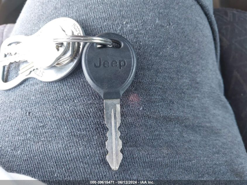 2002 Jeep Wrangler X VIN: 1J4FA39S22P713788 Lot: 39615471