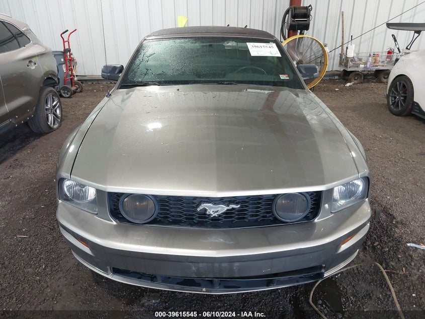 2005 Ford Mustang Gt VIN: 1ZVHT85H255245509 Lot: 39615545