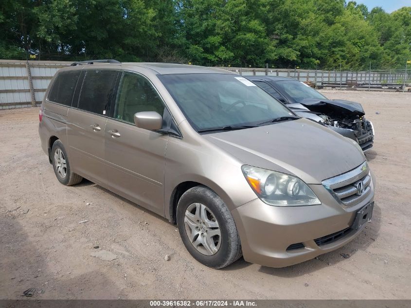 2006 Honda Odyssey Ex-L VIN: 5FNRL38776B418244 Lot: 39616382