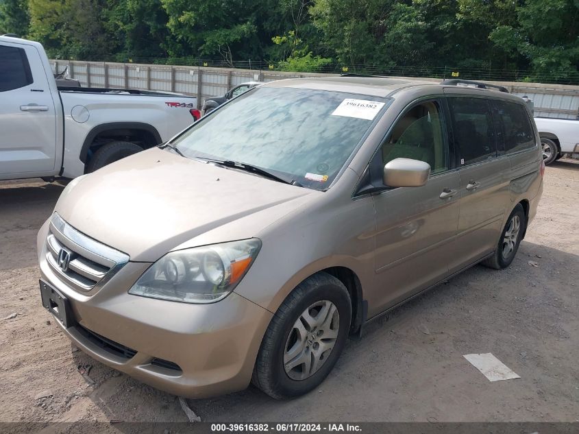 2006 Honda Odyssey Ex-L VIN: 5FNRL38776B418244 Lot: 39616382