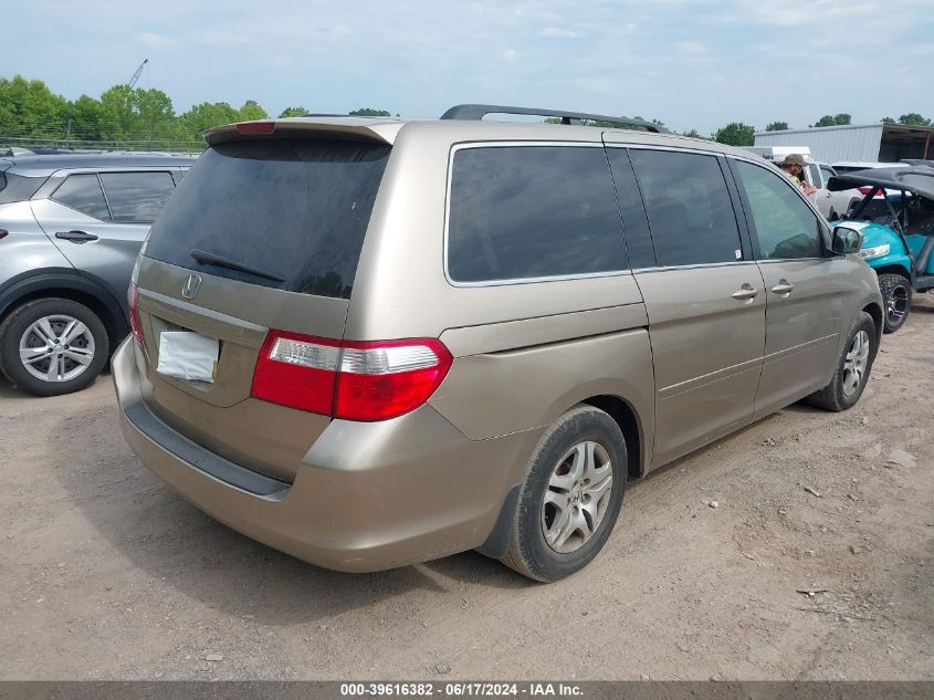 2006 Honda Odyssey Ex-L VIN: 5FNRL38776B418244 Lot: 39616382