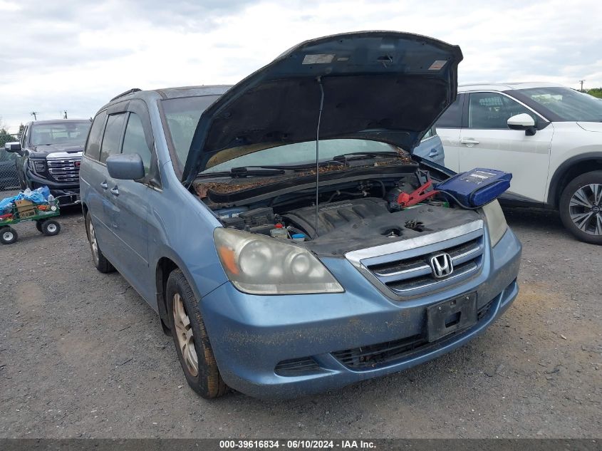 2007 Honda Odyssey Ex-L VIN: 5FNRL38647B139049 Lot: 39616834