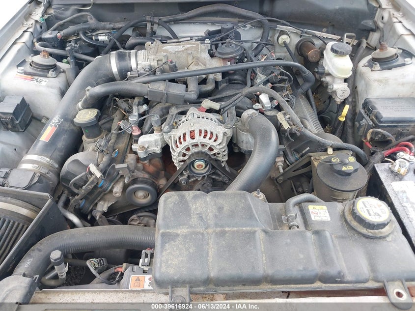 2004 Ford Mustang Gt VIN: 1FAFP42X64F189852 Lot: 39616924