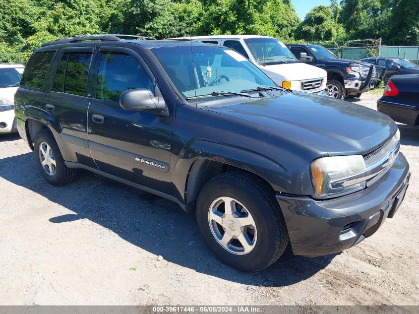 2004 Chevrolet Trailblazer Ls VIN: 1GNDT13SX42287831 Lot: 39617446