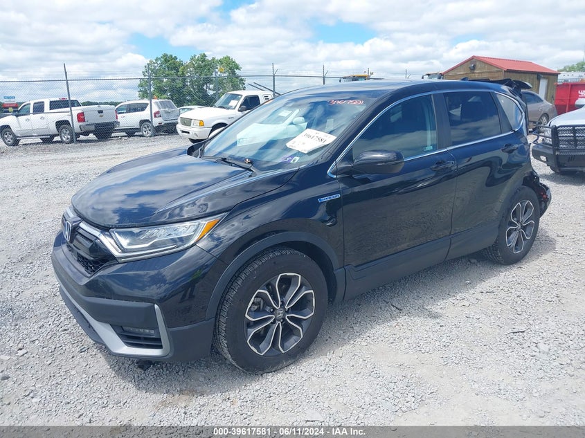 VIN 7FART6H80LE003115 2020 HONDA CR-V EXL