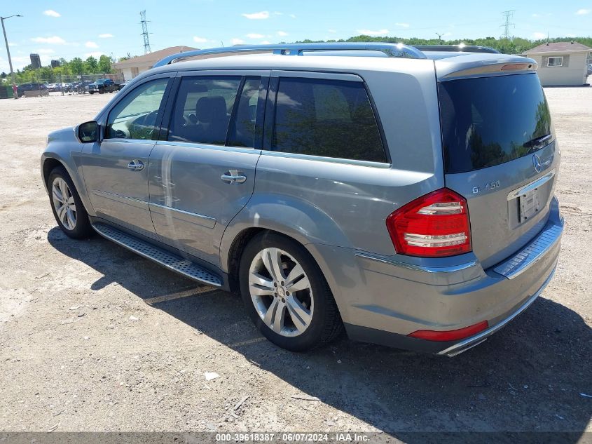 2010 Mercedes-Benz Gl 450 4Matic VIN: 4JGBF7BE0AA533711 Lot: 39618387