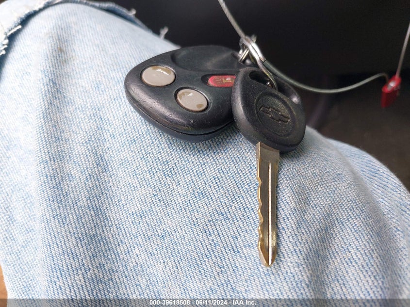 2005 Chevrolet Silverado 1500 Ls VIN: 2GCEC13T551390629 Lot: 39618508