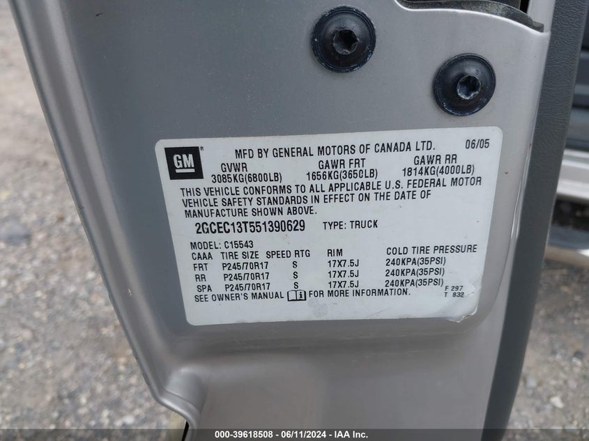 2005 Chevrolet Silverado 1500 Ls VIN: 2GCEC13T551390629 Lot: 39618508
