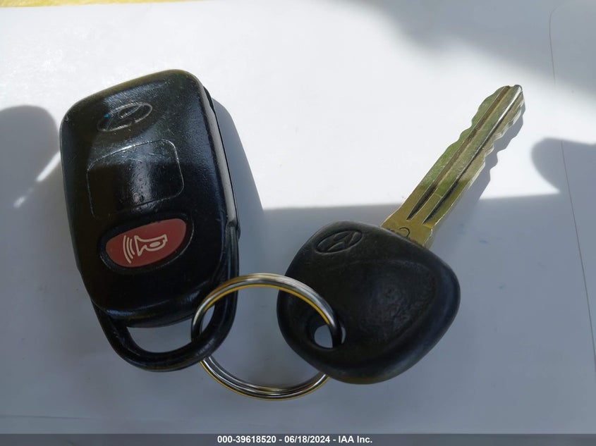 2013 Hyundai Elantra Gls VIN: 5NPDH4AE4DH243007 Lot: 39618520