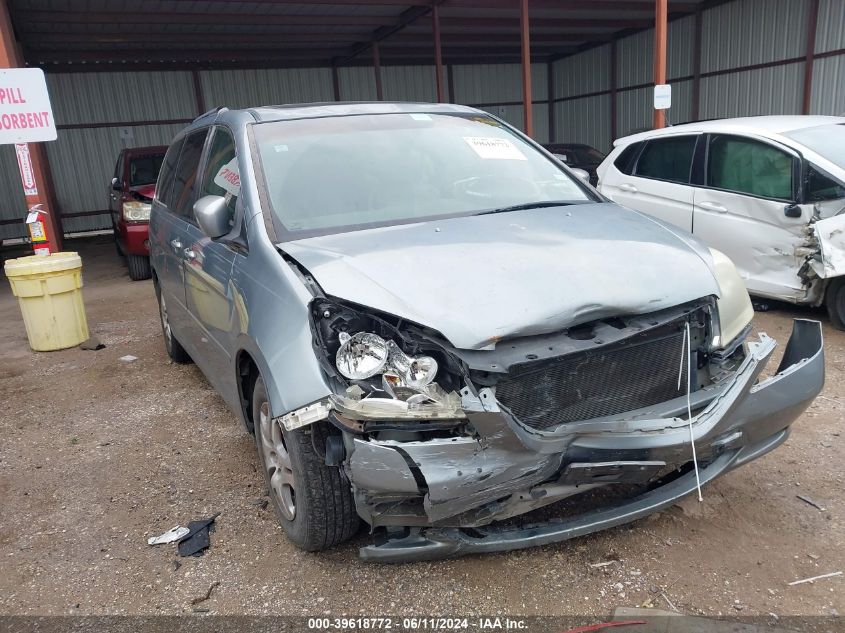 2006 Honda Odyssey Ex-L VIN: 5FNRL38696B129051 Lot: 39618772