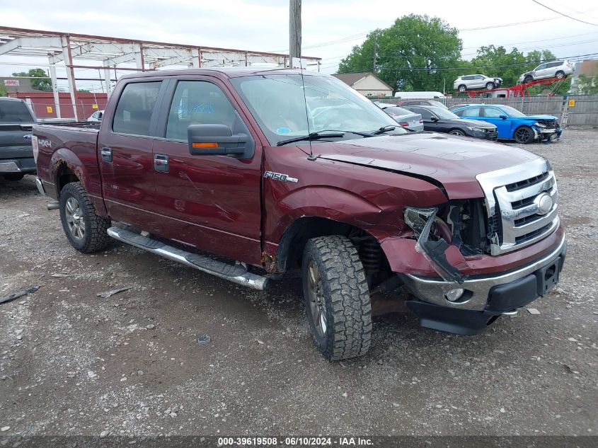 2009 Ford F-150 Xl/Xlt VIN: 1FTRW14839FA08115 Lot: 39619508