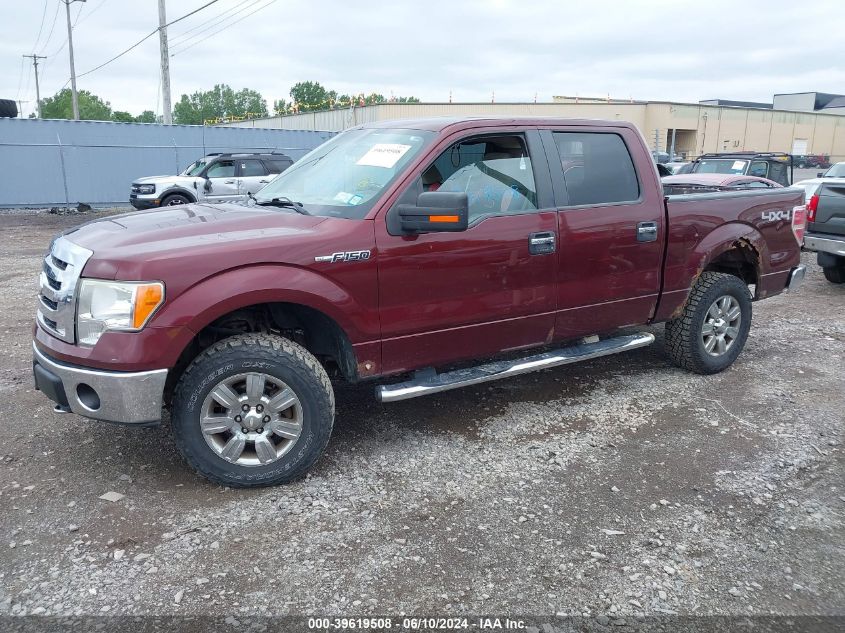 2009 Ford F-150 Xl/Xlt VIN: 1FTRW14839FA08115 Lot: 39619508