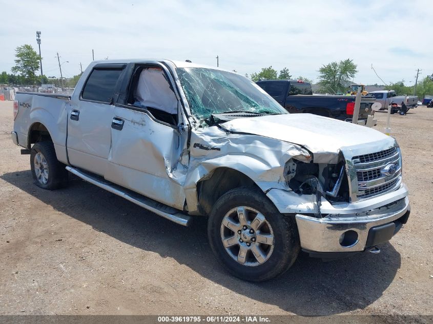 2013 Ford F-150 Xlt VIN: 1FTFW1EF3DKG03157 Lot: 39619795