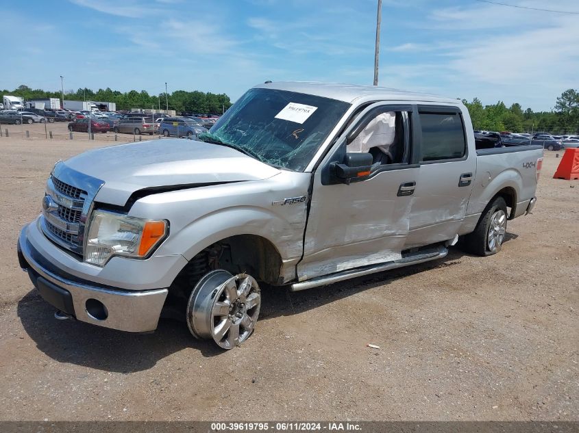 2013 Ford F-150 Xlt VIN: 1FTFW1EF3DKG03157 Lot: 39619795