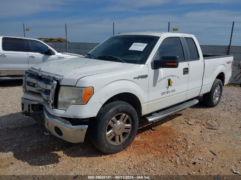 2013 Ford F-150 Xlt VIN: 1FTFX1EF4DFB80370 Lot: 39620101