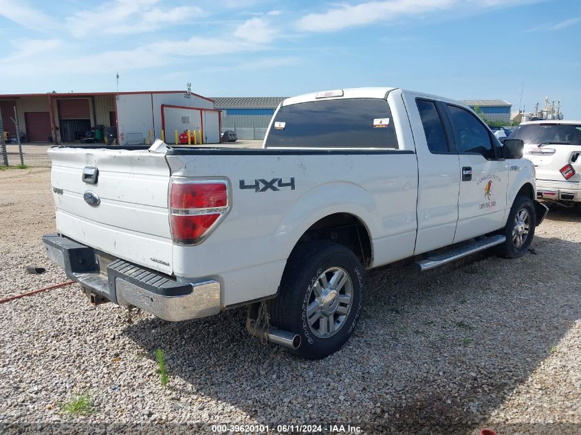 2013 Ford F-150 Xlt VIN: 1FTFX1EF4DFB80370 Lot: 39620101