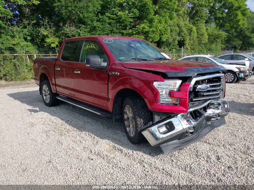 2017 FORD F-150 XLT - 1FTEW1EG3HFB40455