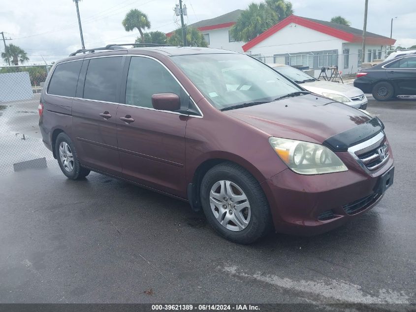 2007 Honda Odyssey Ex-L VIN: 5FNRL387X7B067573 Lot: 39621389