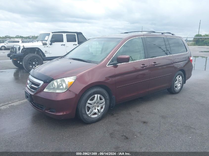 2007 Honda Odyssey Ex-L VIN: 5FNRL387X7B067573 Lot: 39621389