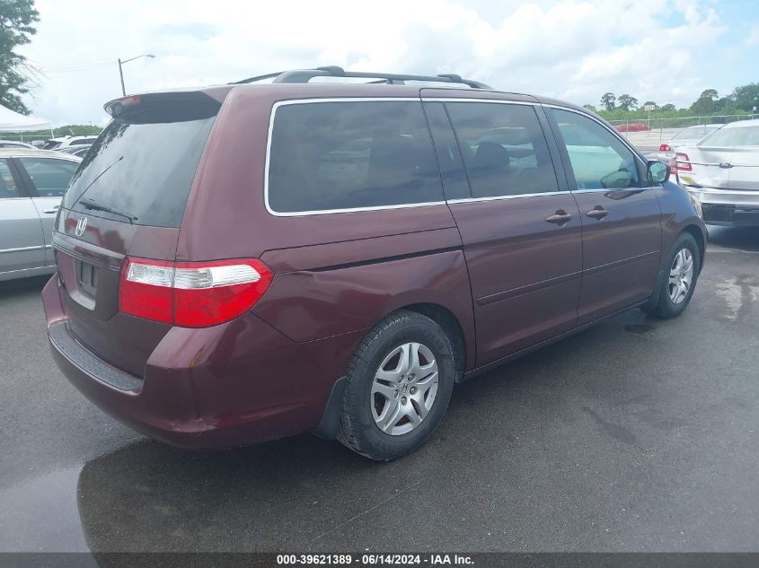 2007 Honda Odyssey Ex-L VIN: 5FNRL387X7B067573 Lot: 39621389